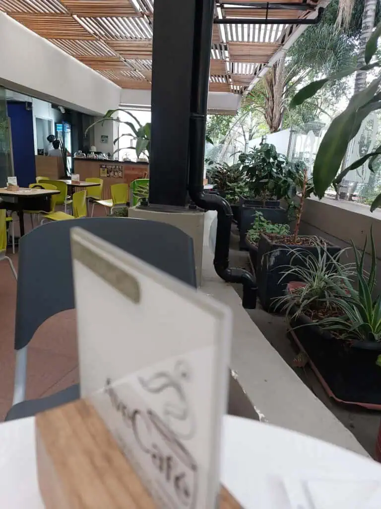 餐厅内部采用蓝黑色家具，并摆放绿色植物。