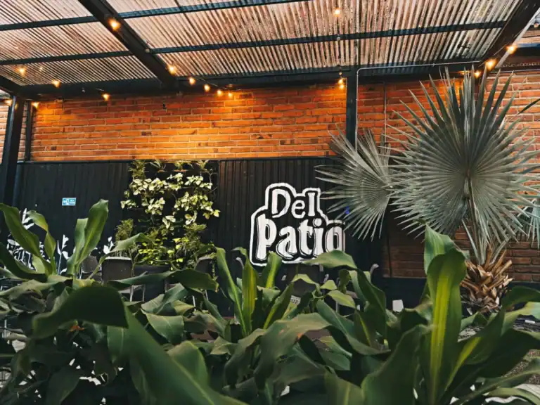 Churrasquería al aire libre con decoración de plantas y luces, perfecta para eventos y reuniones sociales.