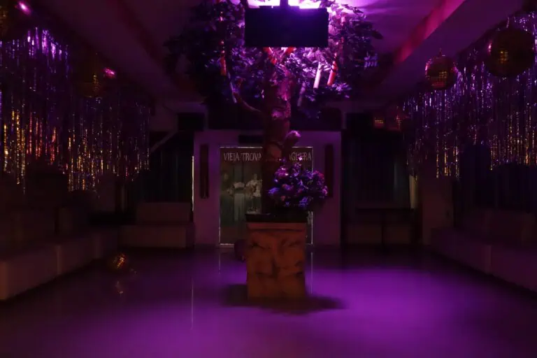 布拉斯·德·莱佐的约克 1