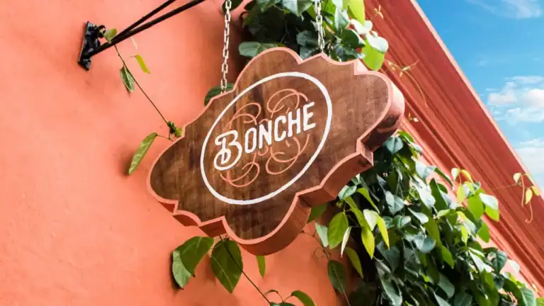 472313193 1125724902893086 8669993626343919380 N