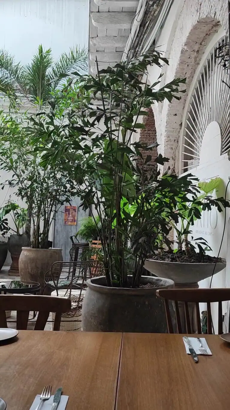 波西米亚之家 2