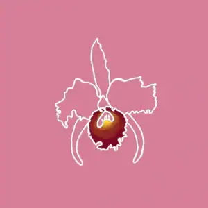 Flor de orquídea en estilo de línea digital con fondo rosa, resaltando la belleza natural y elegancia de esta flor exótica, ideal para eventos y decoraciones sofisticadas.