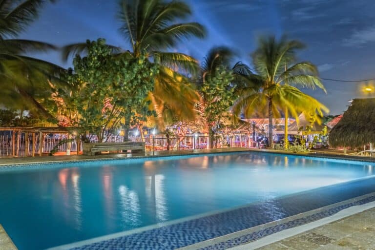 Trouva en una piscina con palmeras iluminadas en un ambiente tropical nocturno, ideal para eventos y celebraciones.