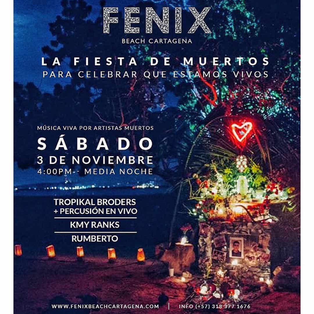 Fenix Beach  Beach Club  Hotel