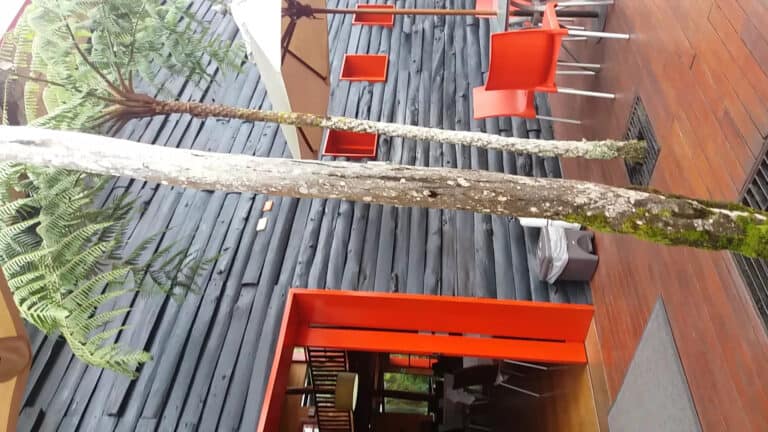 Fondo de terraza moderna con madera oscura, macetas rojas y áreas de descanso con mesas y sillas en un entorno natural con árboles y plantas verdes.