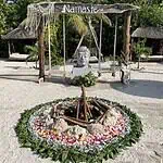 Owner Namaste Beach Club and Holistic Center 1