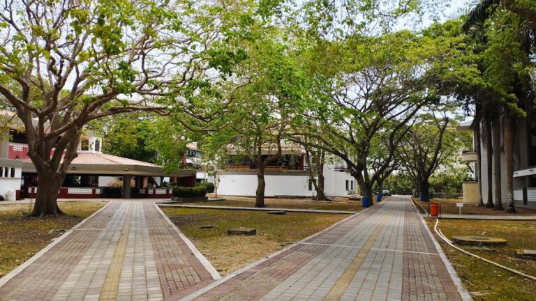 Universidad de San Buenaventura - Image 17