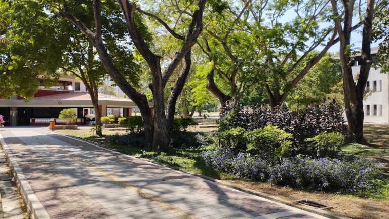 Universidad de San Buenaventura - Image 20
