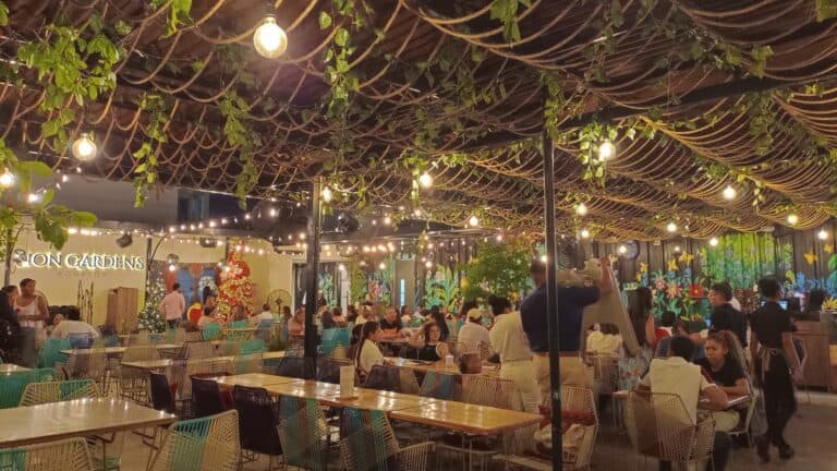 Sion Gardens Rooftop 1