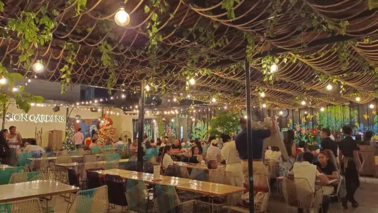 锡安花园屋顶 1