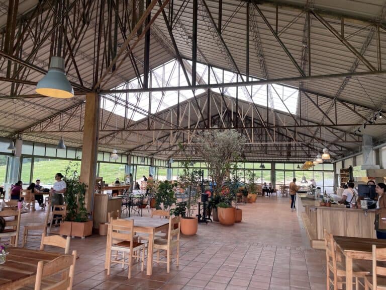 Volver Siempre Volver 1