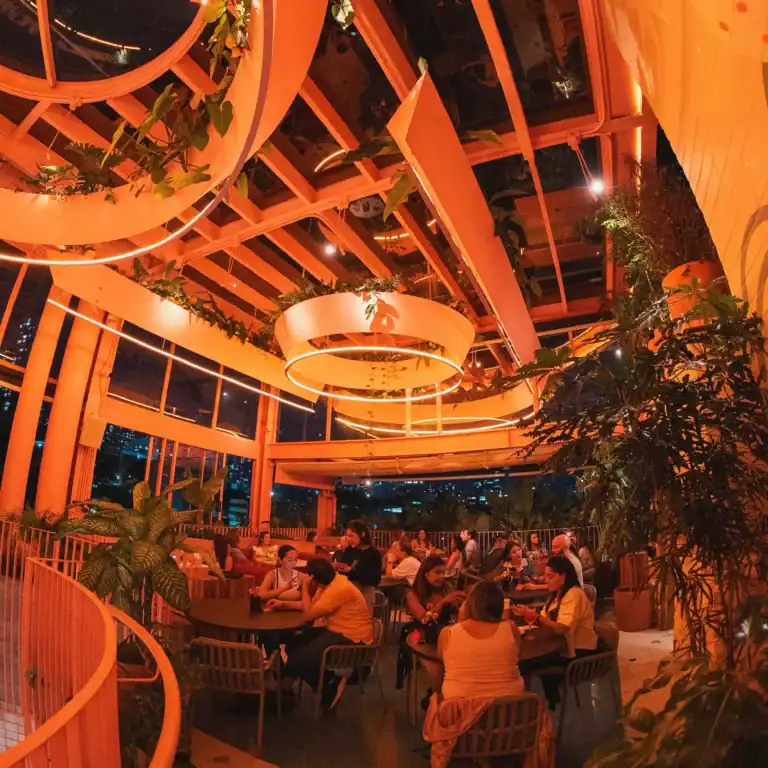 475028870 482850521529761 1219012325578143448 N