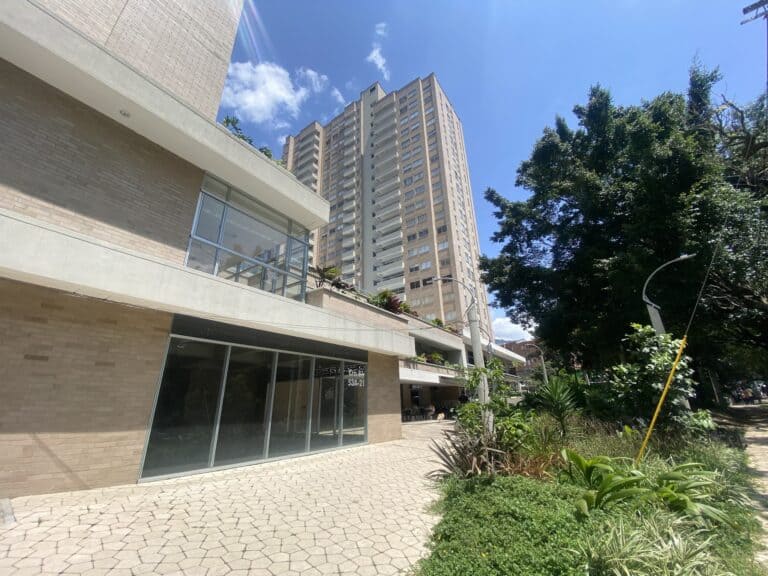 Acuarela Del Parque 1