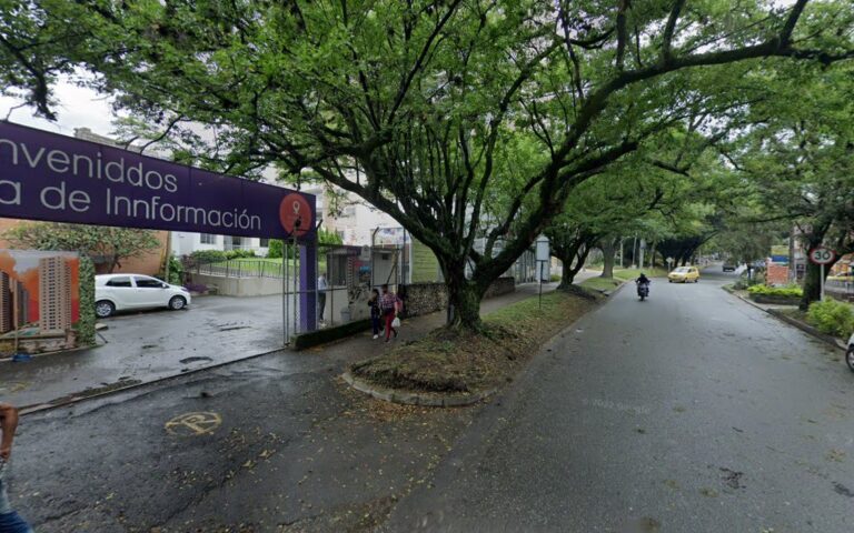 Acuarela Del Parque 3