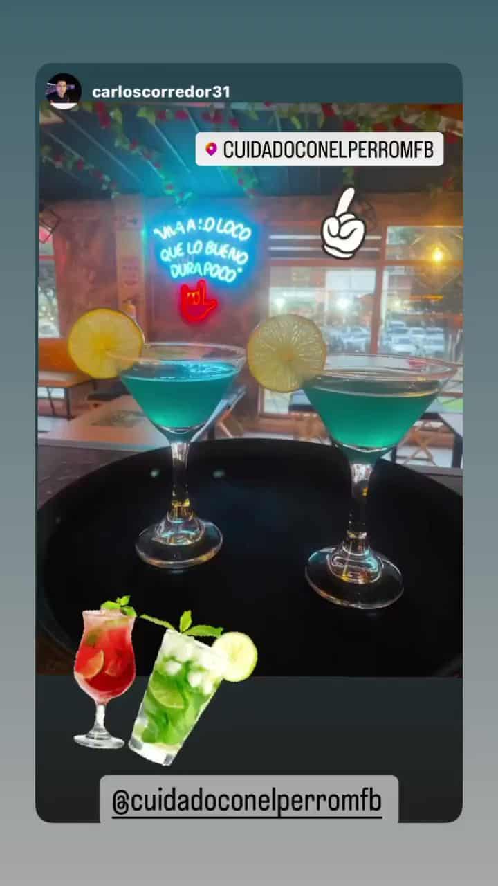 Bar Cuidado Con El Perro Mfb 2