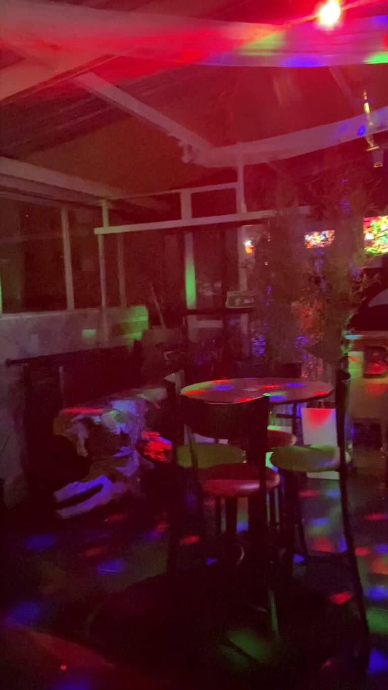 Brokeback Mountain Lgbt Disco Bar Karaoke 2