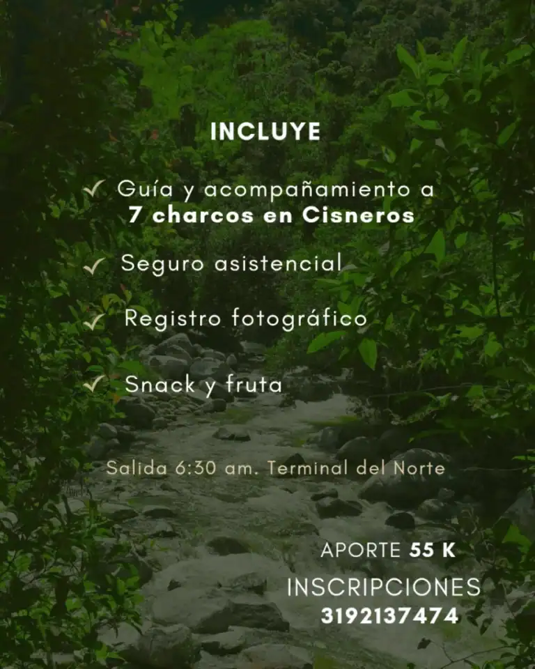 Caminata Consciente Charcos En Cisneros 2