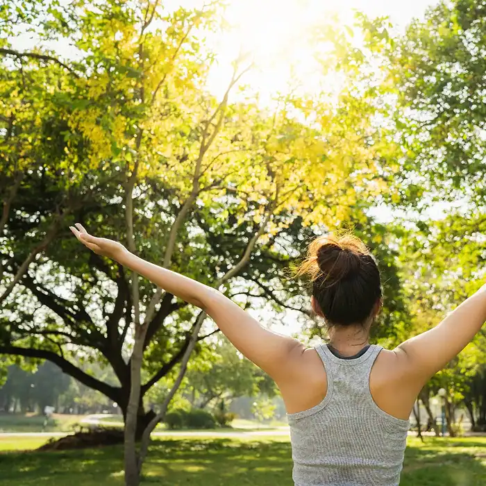 Categorias Eventario 1 1