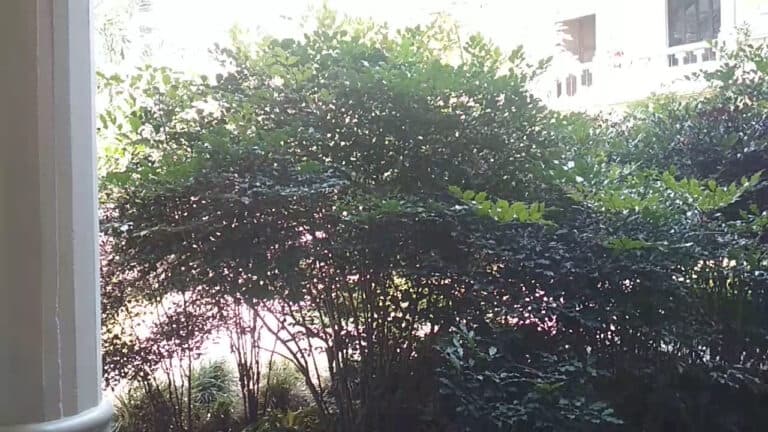 Comfama San Ignacio 2 1