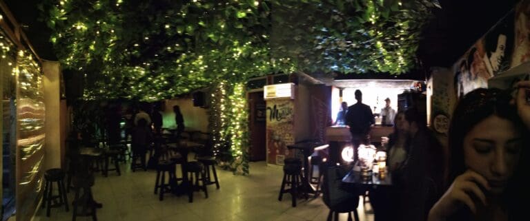 Natural Mystic Bogota Bar 1