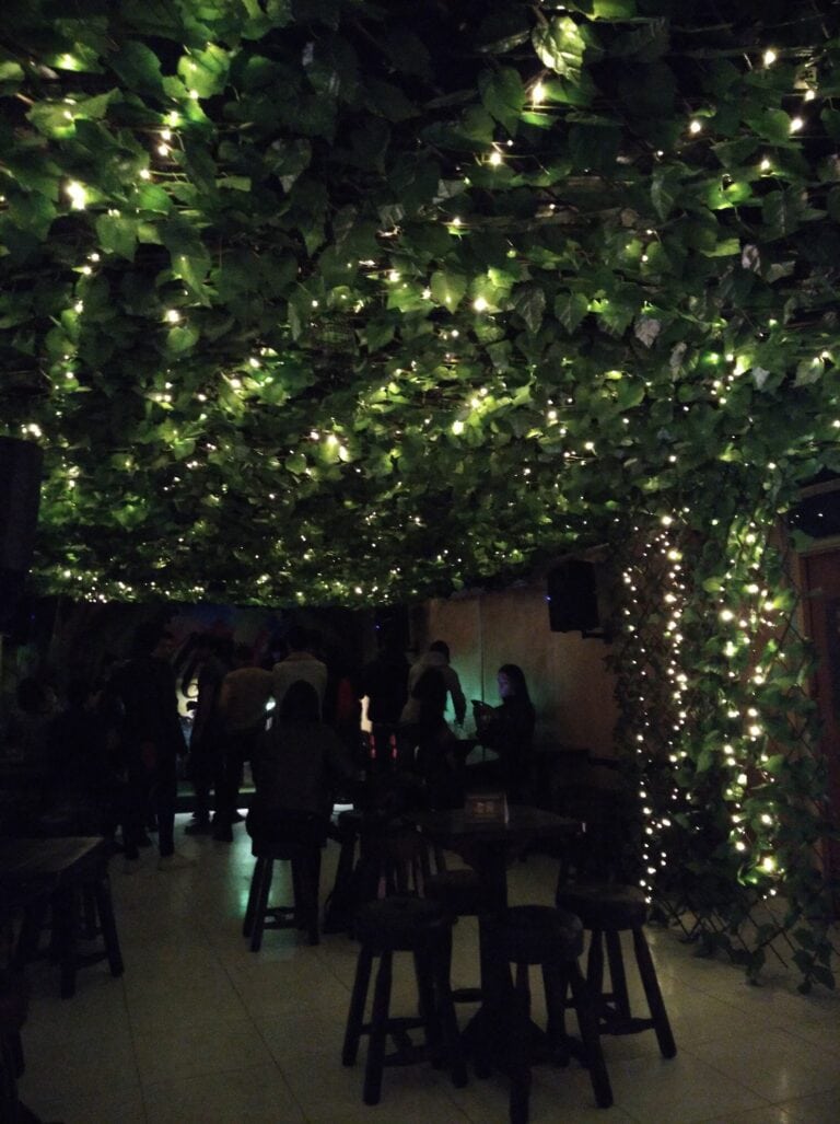 Natural Mystic Bogota Bar 3