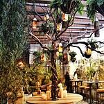 Owner Cantina La 15 Bogota 8211 Bar Y Restaurante Mexica 1