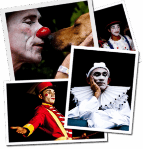 Owner Circo Medellin 1