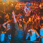 Owner Disco Jaguar 1