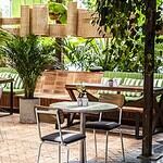 Owner Mamasita Medallo 1