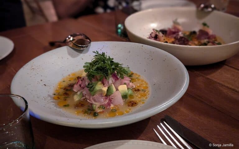 Salon Tropical Cartagena 5