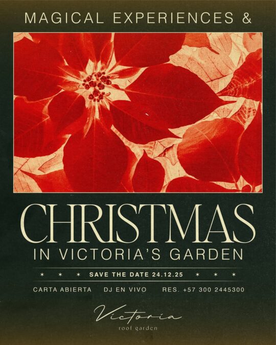 587890197 18060507395640493 343381613708635733 N