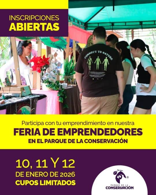 591477811 18551419120007128 994346888726975875 N