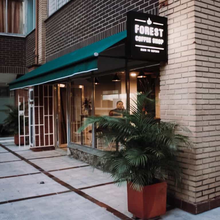 Forest Coffee Shop 1