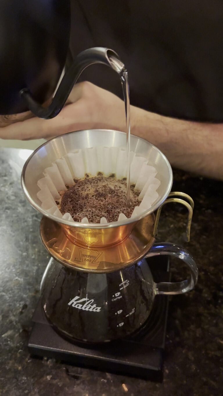 Forest Coffee Shop 2