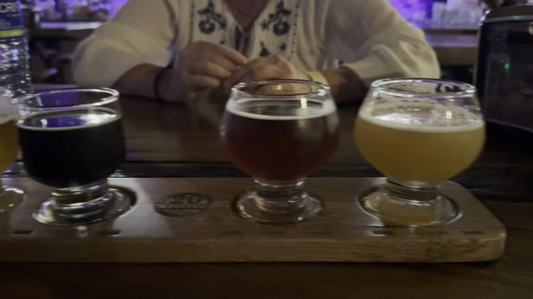 20 Mission Brewery Amp Bar 2