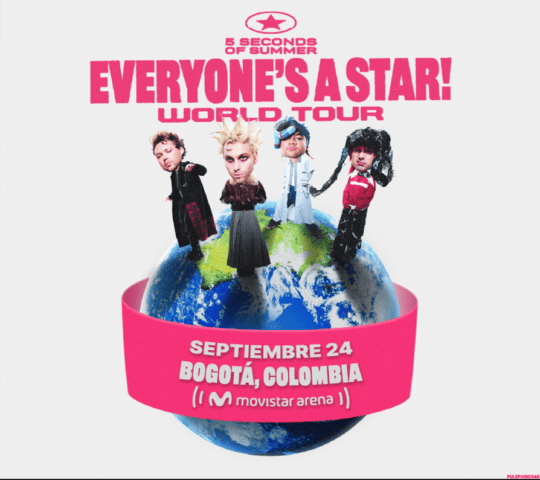 5 SECONDS OF SUMMERS   EVERYONE S A STAR  WORLD TOUR