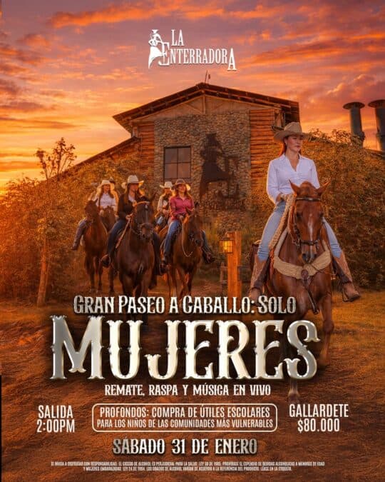 612661851 18500580478074841 1271439269085156228 N