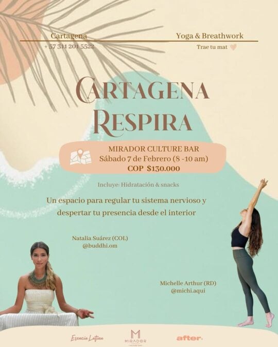 619908333 18047327639687772 7529539475334685478 N