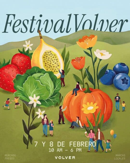 621112522 17957704209043217 7138355934444812371 N