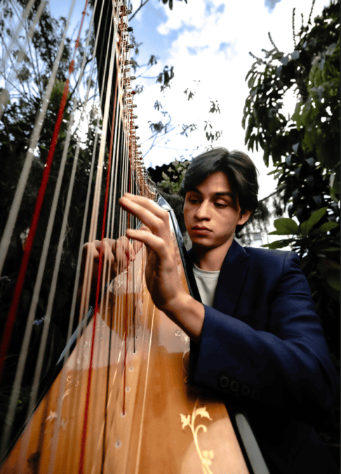 Alejandro Diaz H.  Arpa