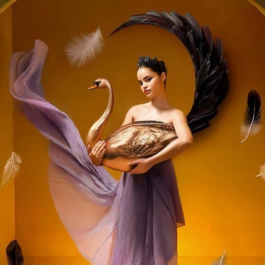 Ballet Municipal De Santiago    El Lago De Los Cisnes