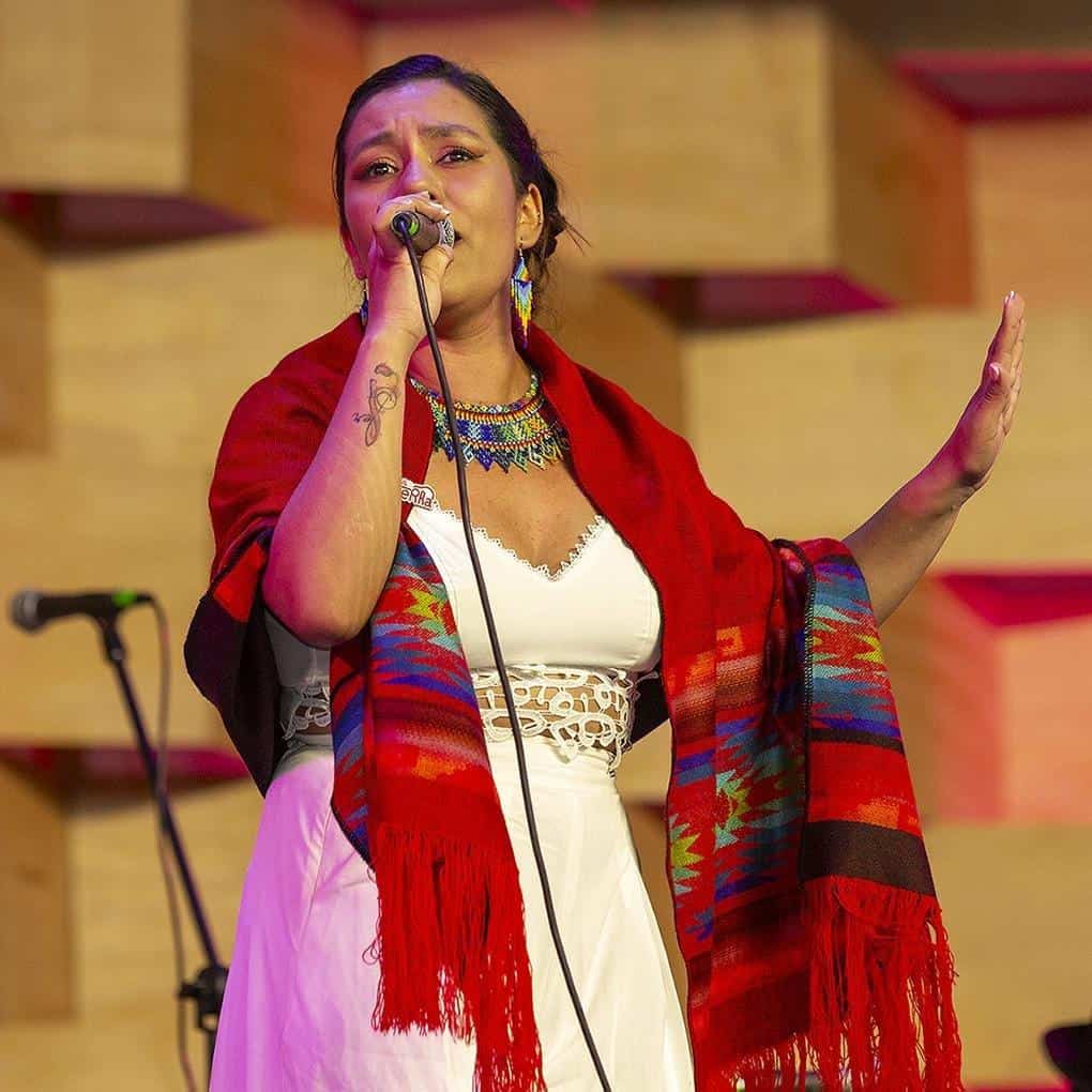 Lanzamiento Del 52.  Festival  Mono Nunez