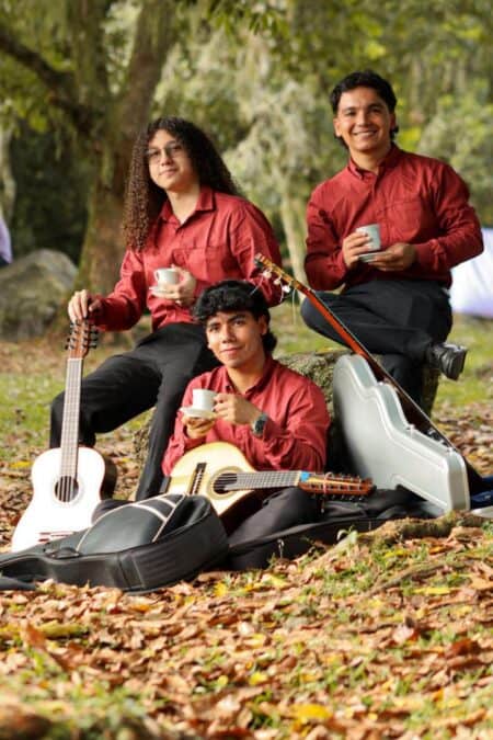 Pere Tintico Trio  Trio Tipico