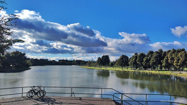 Bosque Parque Metropolitano Simon Bolivar 3