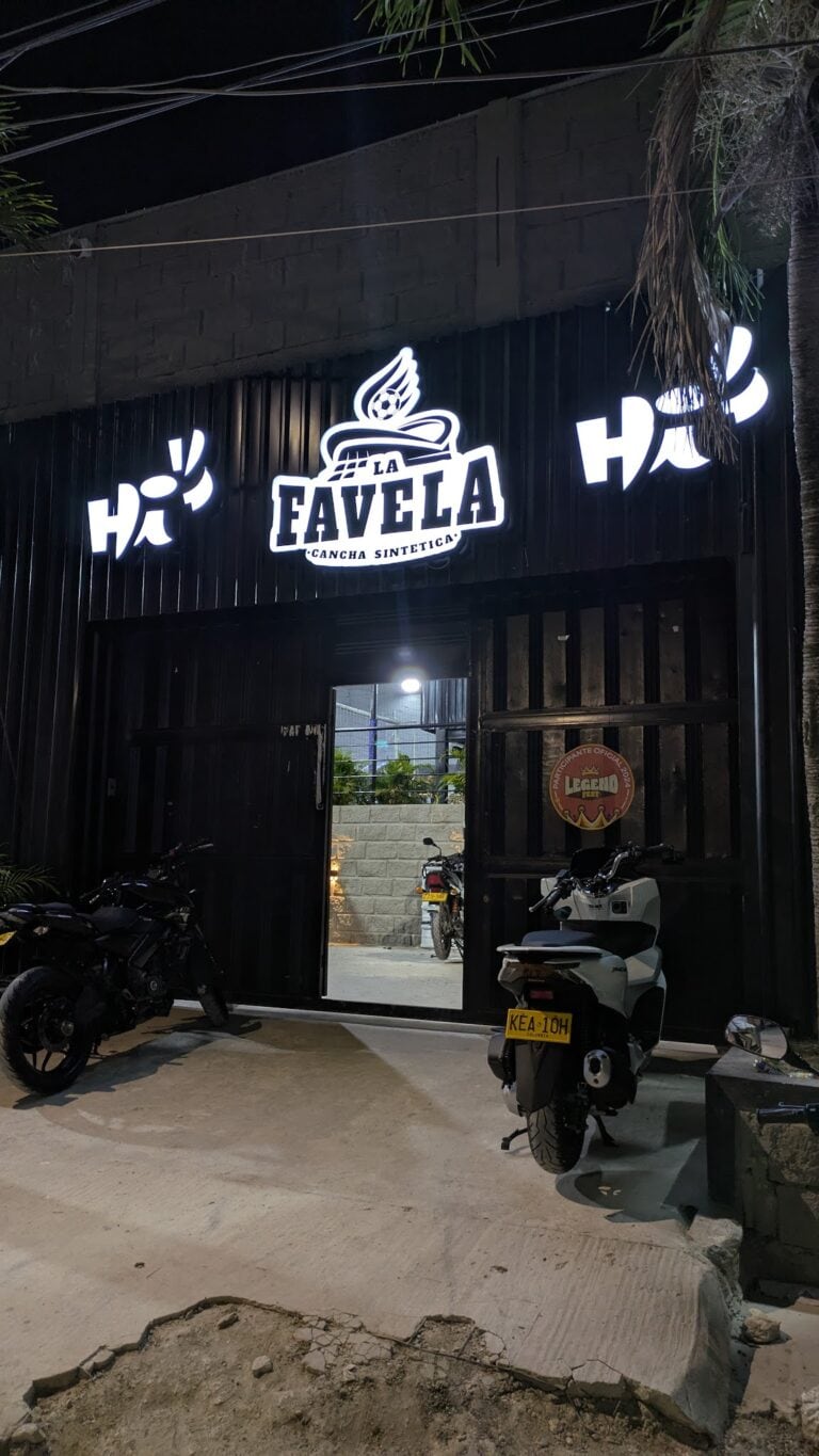 Cancha Sintetica La Favela 1