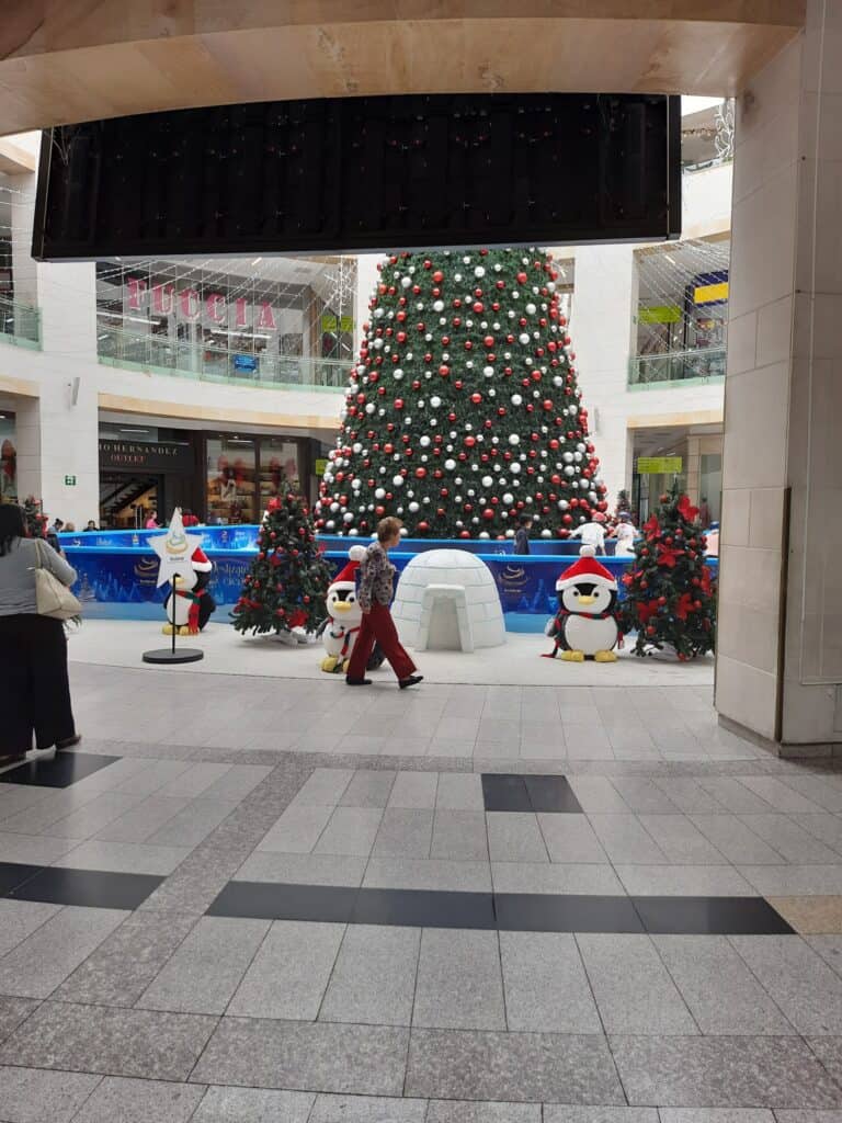 Centro Comercial Bulevar Niza 1