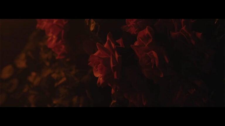 Club Nocturno Perro Negro 2