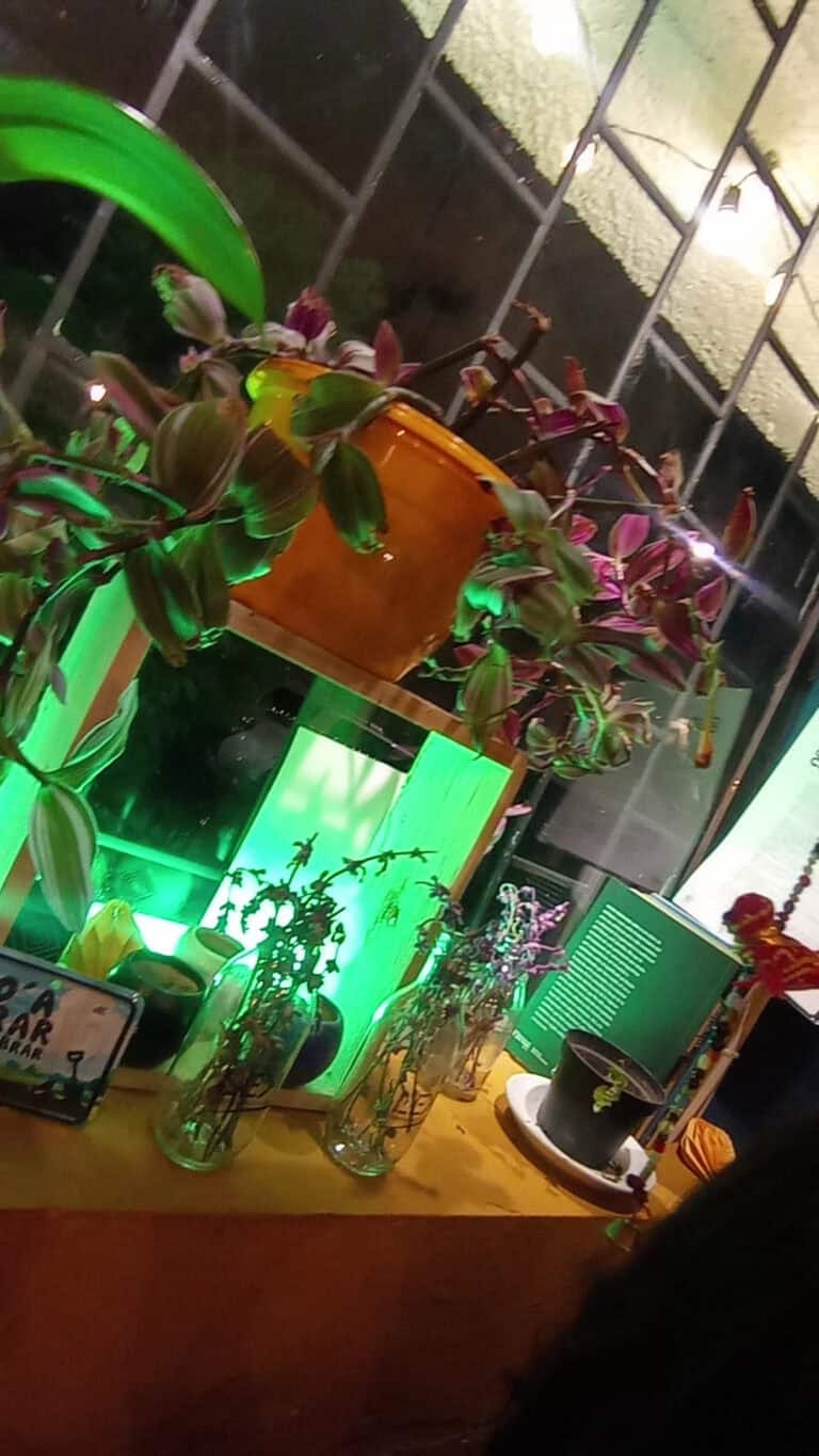 La Enredadera Kultural 2