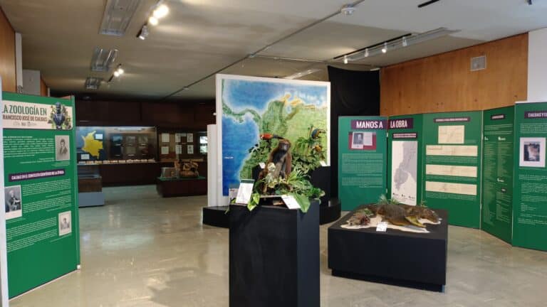 Museo De Historia Natural 1