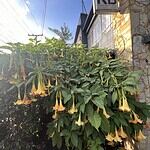 Owner Kb 8211 Espacio Para La Cultura 1